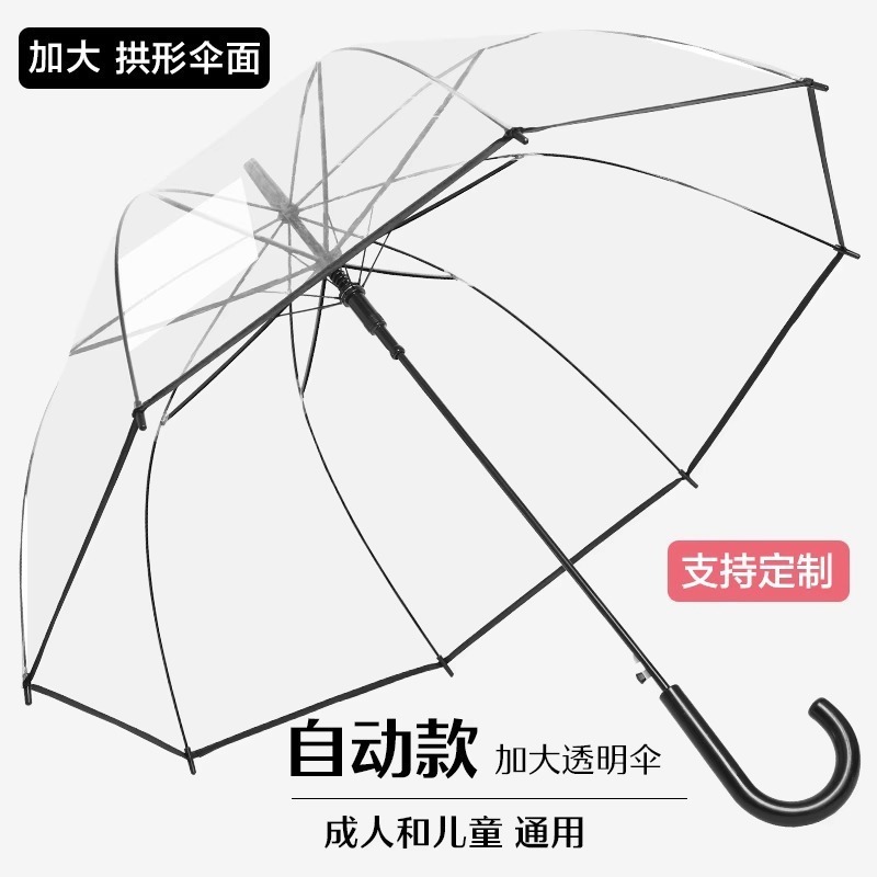 8骨透明雨伞自动折叠清新男女通用长柄雨伞半自动雨伞学生伞批发详情2