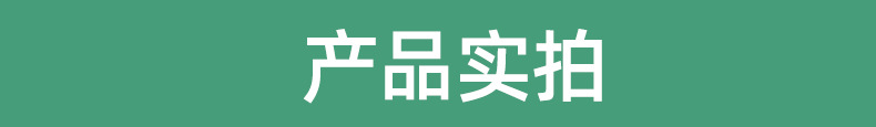 2024新款彩绘马带音乐1300G详情1