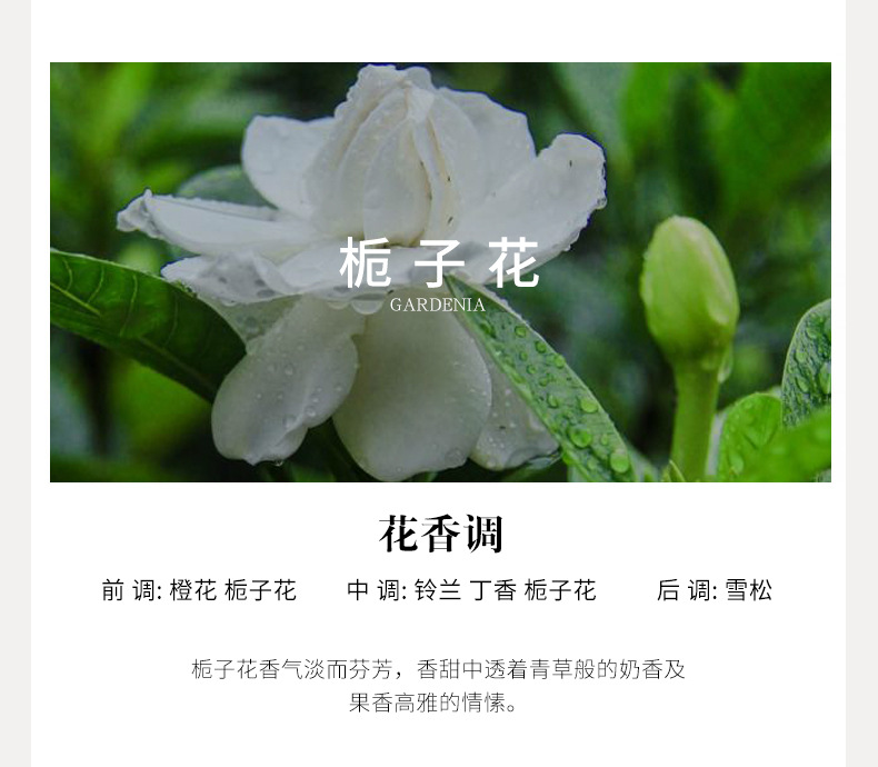 Flameless aromatherapy essential oils, indoor hotel decorations, household air fresheners, toilet deodorants, mosquito repellent incense, bedroom aromatherapy pic 18