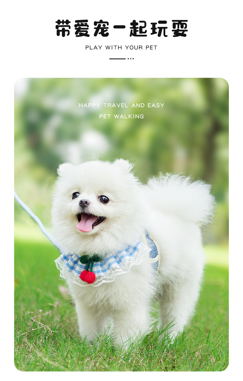 狗狗牵引绳可爱胸背带遛猫咪绳泰迪小型犬狗链宠物用品狗绳子批发详情13