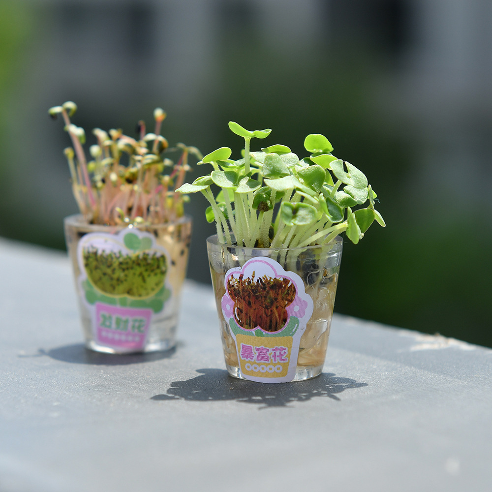 晨兮创意DIY迷你盆栽种草笔 全针管黑色中性笔 有钱花暴富花款 长草笔带给你无尽创意乐趣详情17