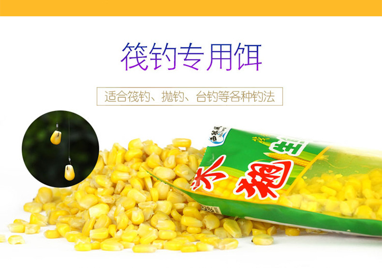 Western Wind Fish Bait, Miqiao Fresh Corn, fresh corn bags, raft fishing, upward-billed crucian carp, carp, grass bream, Old Jar sweet and Glutinous corn pic 8