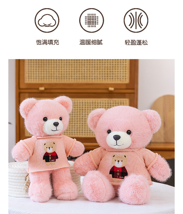 毛衣泰迪熊公仔毛衣百变小熊毛绒玩具情人节送女生布娃娃礼物熊送详情10