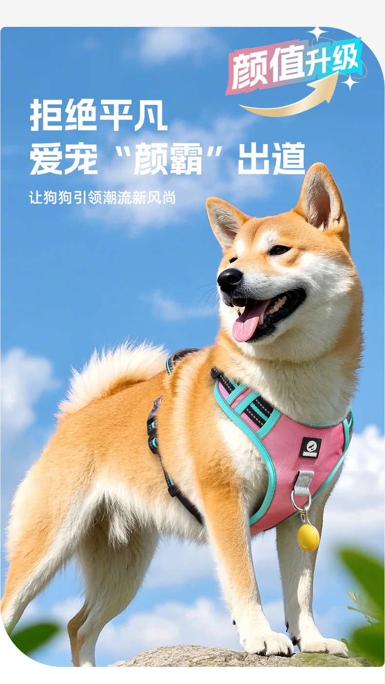 Cross-border dog leashes, anti-break large dog chest straps, reflective medium and large dog leashes, outdoor dog walking leashes pic 8