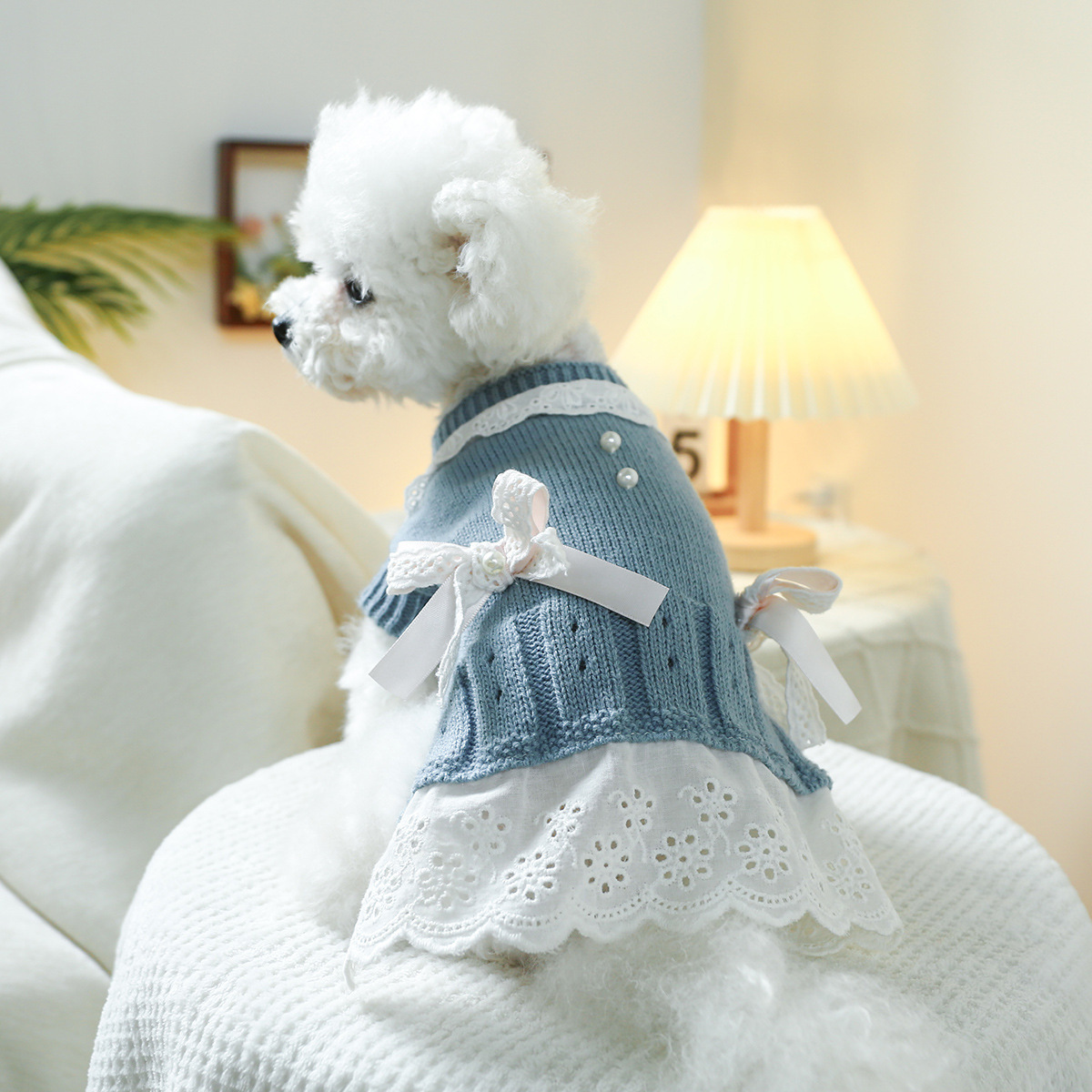 T Elegant princess cat and dog clothes, pet dog and cat warm and comfortable home clothes for autumn and winter, dog clothes, pet skirts pic 10