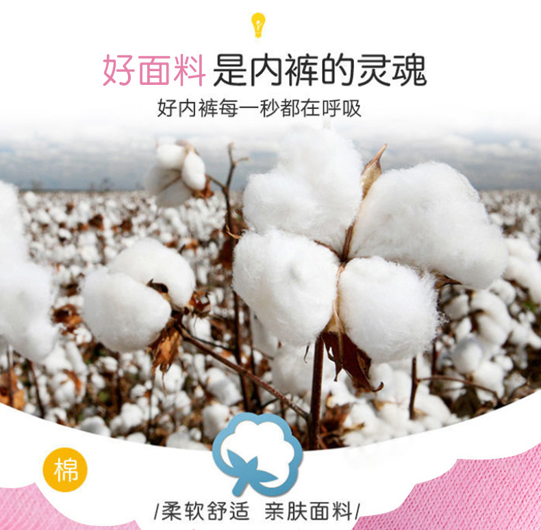韩版儿童纯棉三角内裤中大小女宝宝面包裤棉卡通盒装短裤工厂直销详情3