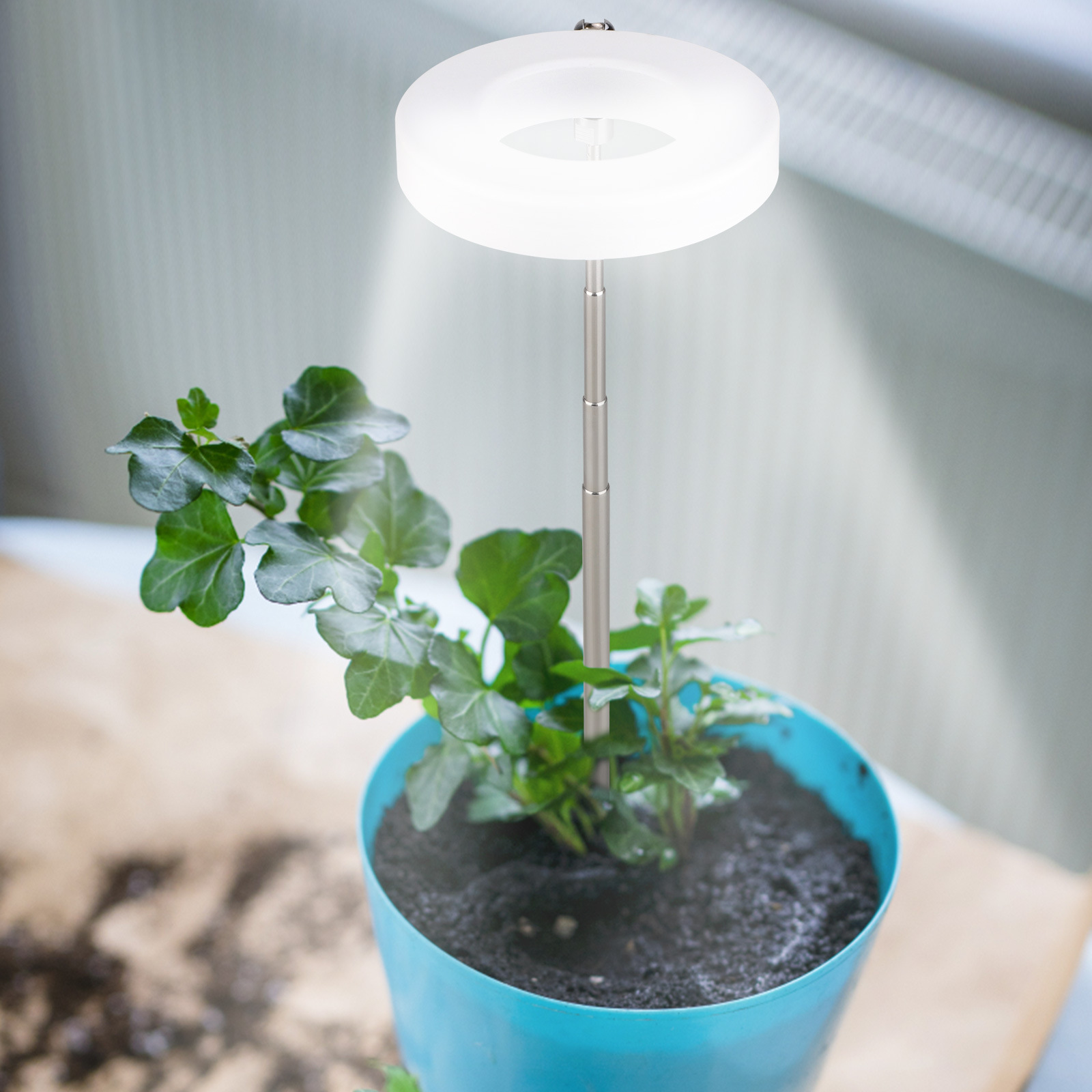 LED angel ring plant growth lamp, sunlight-like plant supplementary light, indoor succulent bonsai plant lamp manufacturer pic 3