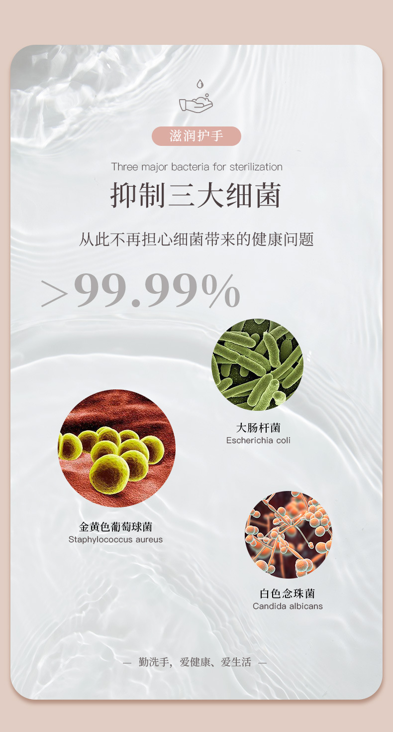 小苍兰香泡沫洗手液400ml厂家批发酒店商超家用儿童抑菌详情5