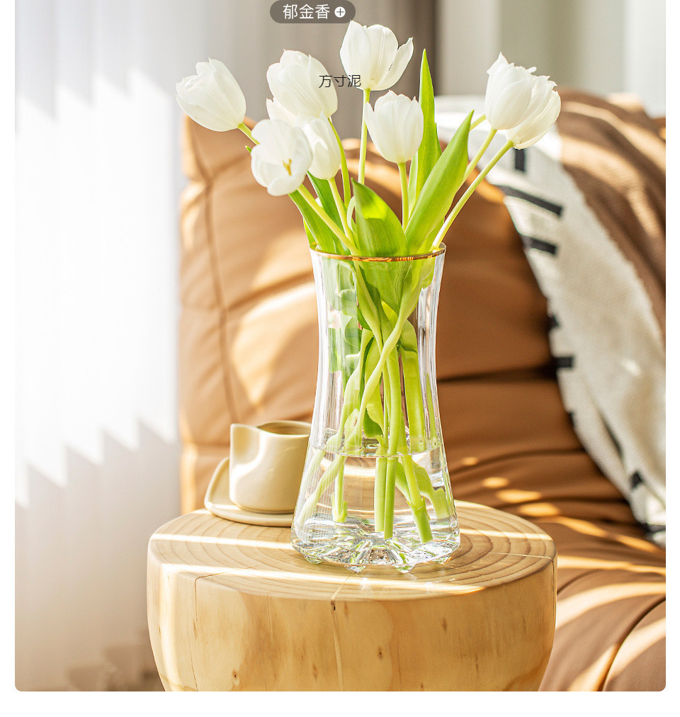 简约轻奢加厚ins风透明玻璃花瓶水养富贵竹鲜花插花客厅摆件批发详情7