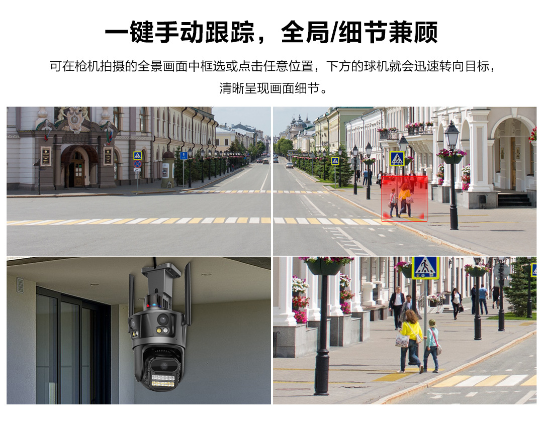 P12--SP8_04.jpg