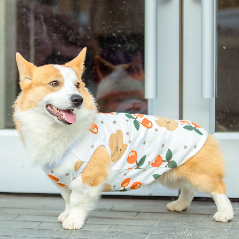 狗狗背心四季款宠物T恤可爱卡通狗狗服装印花中型犬幼犬现货批发详情13