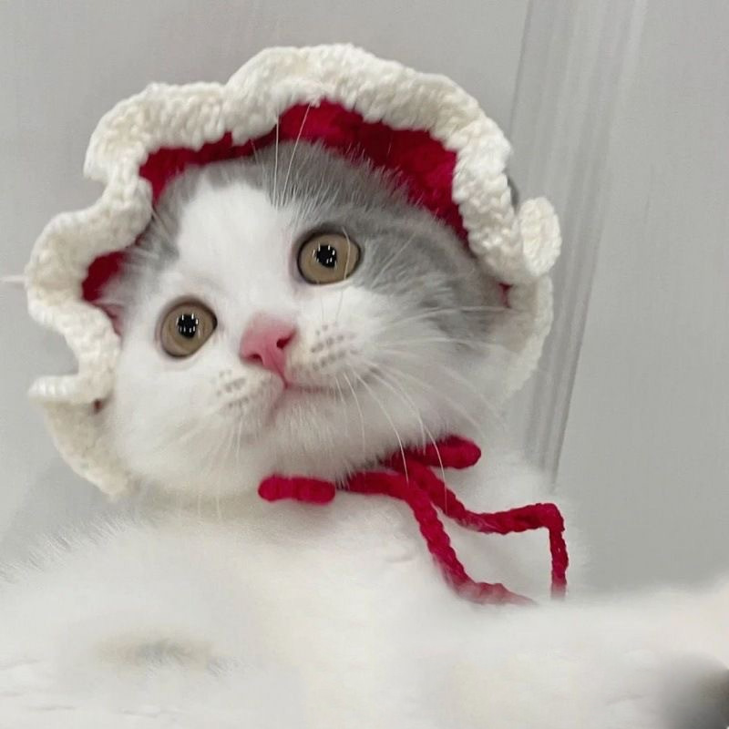Милые кошачьи шляпы, домашние аксессуары, маленькие соломенные шляпы, рождественские елки, многофункциональные украшения pic 4