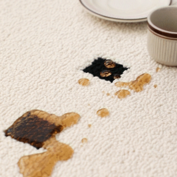 Waterproof diatom silk carpet for the living room, dirt-resistant in autumn and winter, Italian style, light luxury and high-end. Plain carpet in cream style for the bedroom pic 4