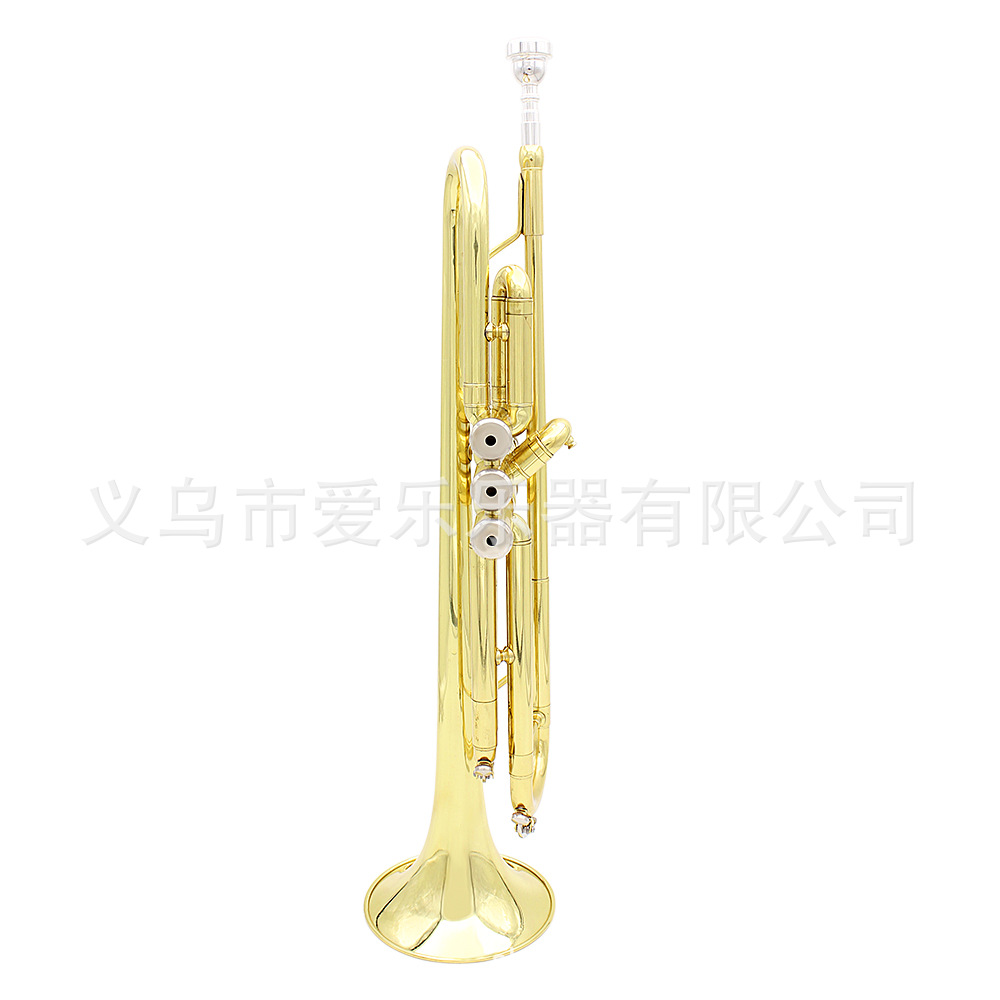 Student and adult performance of Trumpet, a brass trumpet in B-flat pic 12