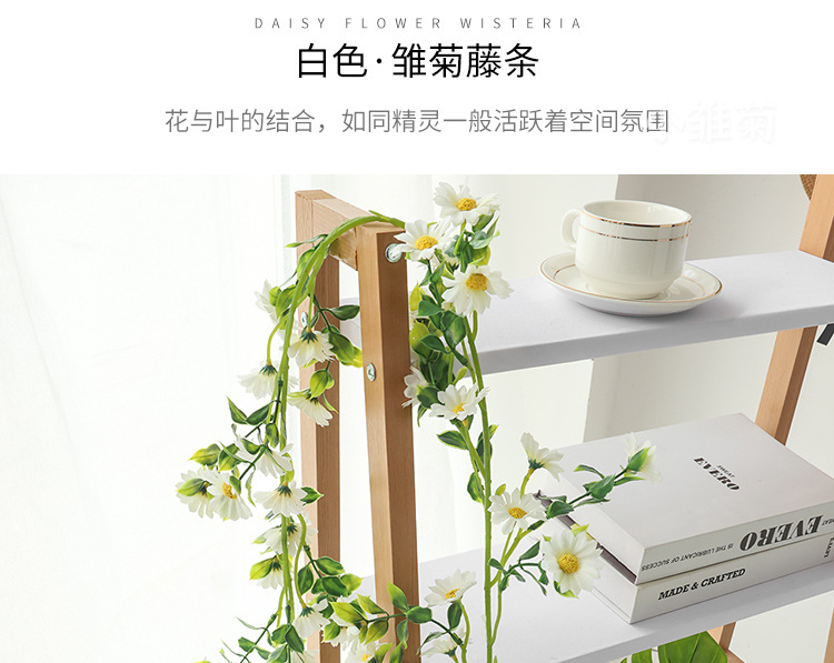 小雏菊---副本_20.jpg