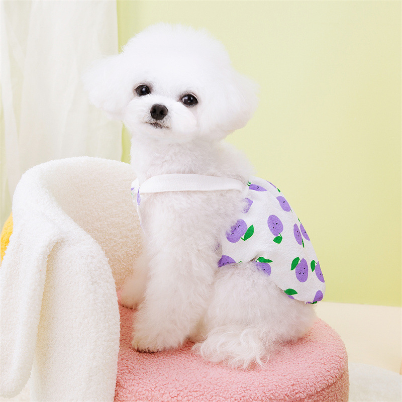 宠物裙子原厂批发春夏新款宠物狗狗猫咪裙子可爱舒适叶子水果裙详情6