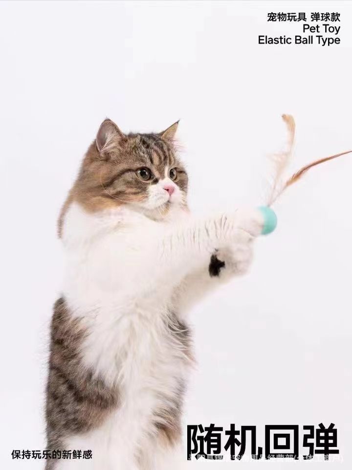 厂家代发猫咪玩具球弹力球羽毛跳跳球宠物逗猫玩具猫自嗨解闷互动详情6