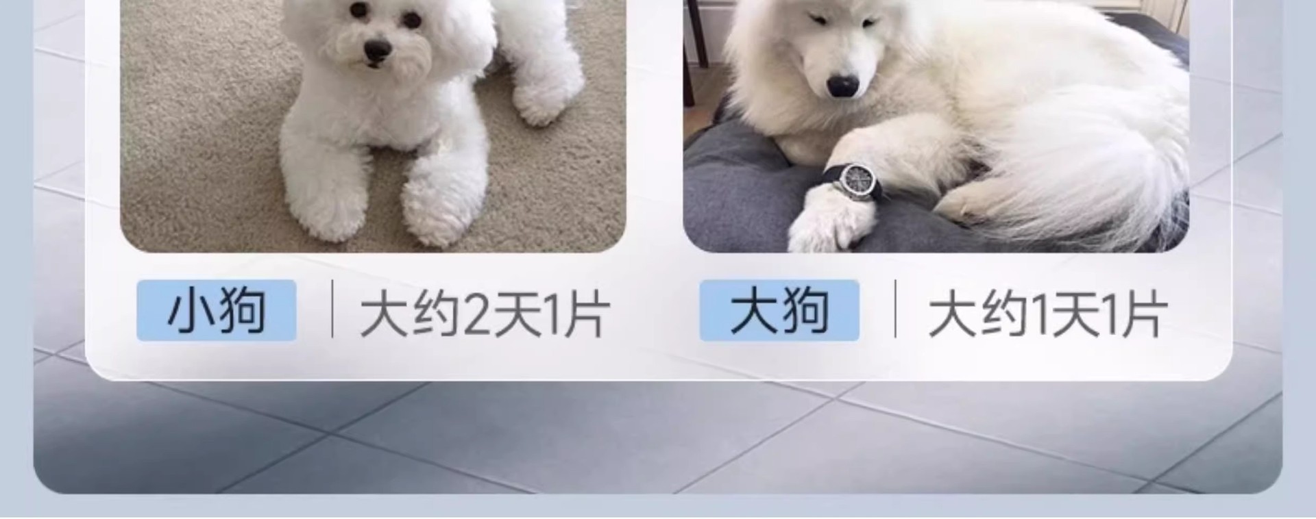 狗狗尿垫尿片宠物用品厕所除臭吸水垫尿不湿加厚100片一次性尿布详情12