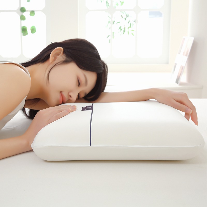 Planet Pillow pro Dual-core zero-pressure slow-rebound Memory Pillow core Hotel sleep Aid pillow pair neck support pillow pic 6