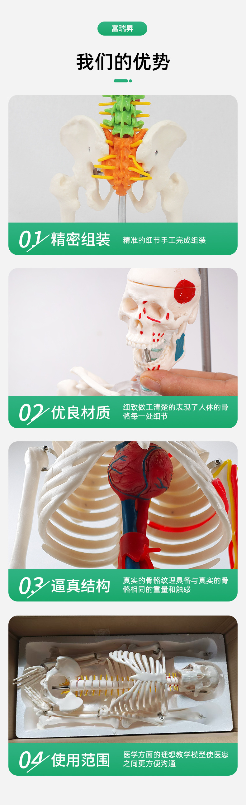 Teaching skull natural adult skull model anatomy teaching model medical college clinical teaching supplies pic 6