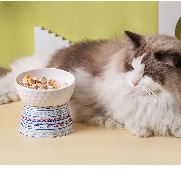 陶瓷猫碗高脚保护颈椎猫粮碗猫咪狗猫盆饮水碗宠物零食碗跨境批发详情12