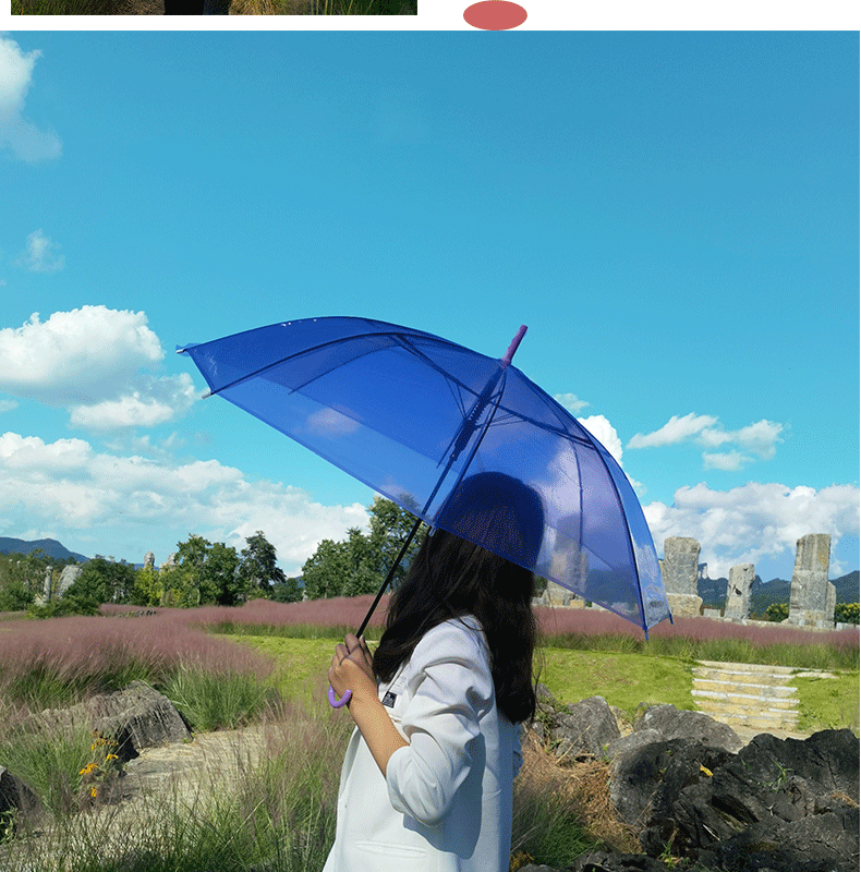 透明雨伞大量批发一次性塑料雨伞自动批发透明伞长柄高颜值晴雨伞详情3