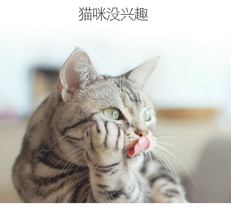 In 2019, factory direct sales of cat toys: High-toughness metal steel wire cat toys, interactive cat toys with bells and feathers pic 3
