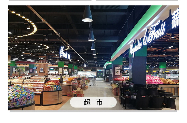 Jiuliang DP intelligent constant current emergency bulb, ambient light, fire light, 12V waterproof and dustproof pic 39