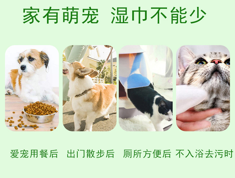 宠物湿巾详情页50片，72片_04