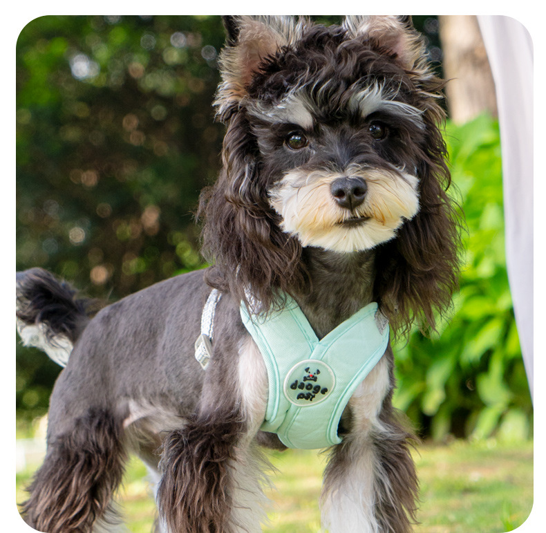 戎咖宠物跨境宠物伸缩牵引绳X型胸背狗狗牵引带雪纳瑞比熊遛狗胸背狗狗用品详情11