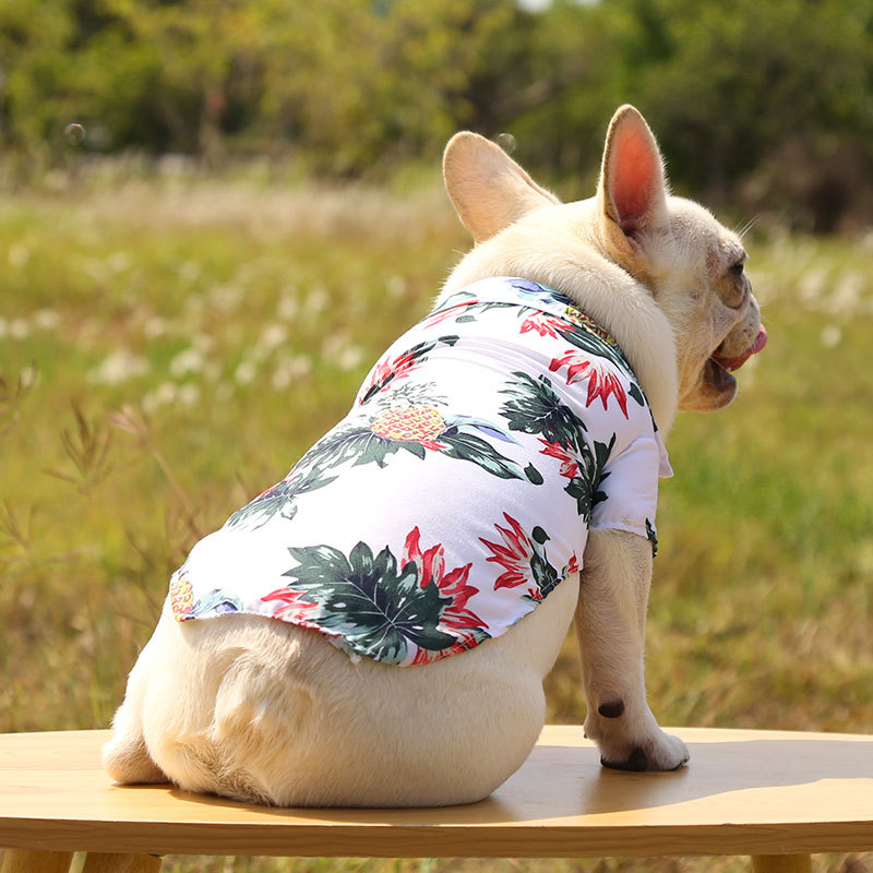 Pequeño y mediano perro playa piña camisa hawaii mascota perro gato golden hair primavera verano fino ropa artículos pic 13