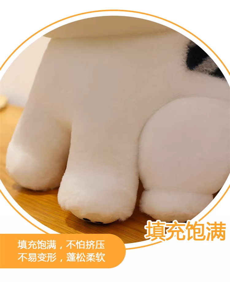 正版起司猫毛绒玩具公仔可爱卡通小猫咪安抚哄睡玩偶生日礼物批发详情6