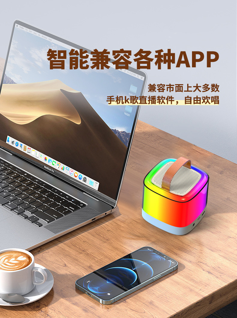 新款跨境蓝牙音箱便携式户外蓝牙音响无线K歌带话筒麦克风家庭ktv详情8