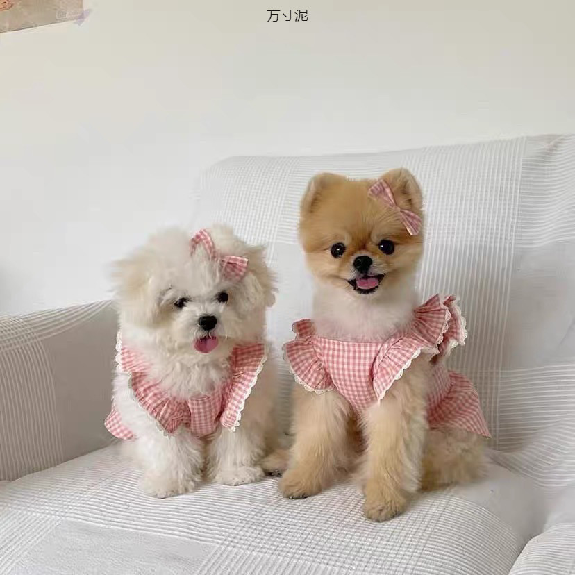 春夏可爱泡泡裙子泰迪比博美雪纳瑞狗猫咪宠物衣服外贸工厂供应链详情5