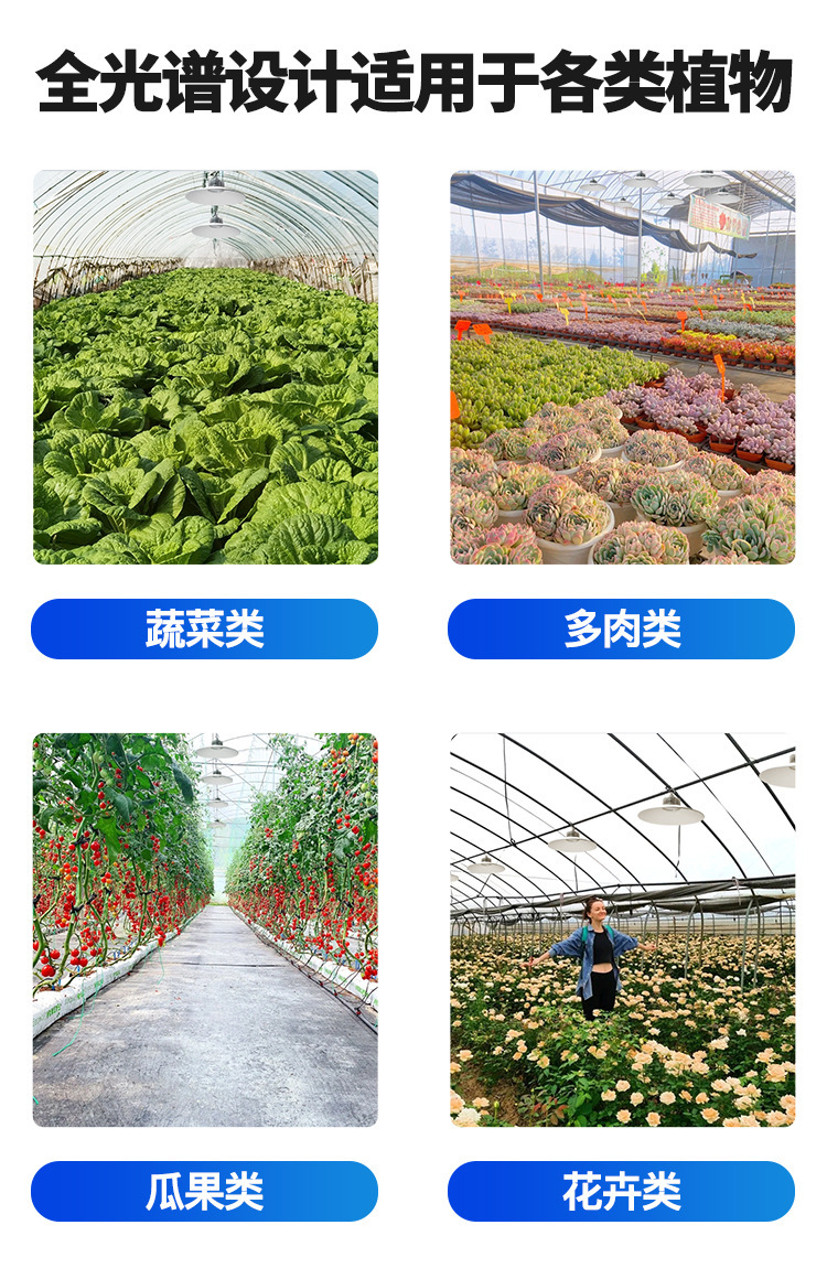 Special supplementary lighting lamps for greenhouse plants, indoor household vegetable, green plant, rose, orchid and flower growth lamps, imitation sunlight lamps pic 6