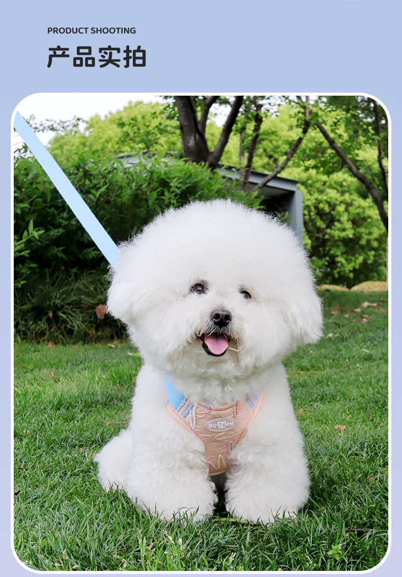 New dog leash, pet chest and shoulder strap, small Bichon Frise Pomeranian three-piece set, vest-style shoulder strap, dog leash pic 15