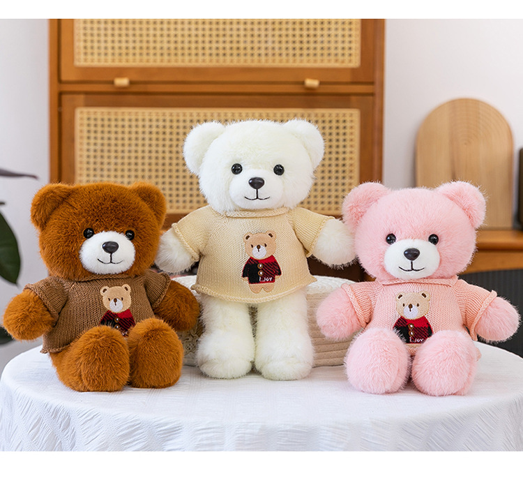 毛衣泰迪熊公仔毛衣百变小熊毛绒玩具情人节送女生布娃娃礼物熊送详情15
