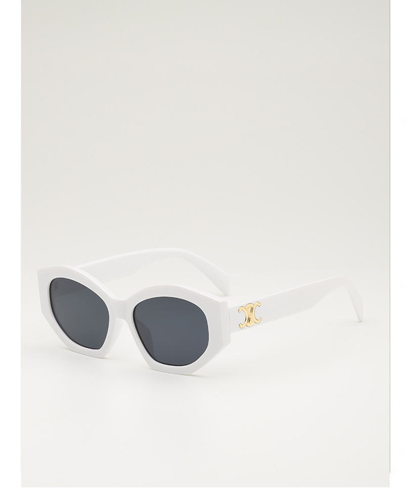 Retro triumph snow sunglasses for women, a new type of high-end oval angular sunglasses for sun protection and shading pic 19