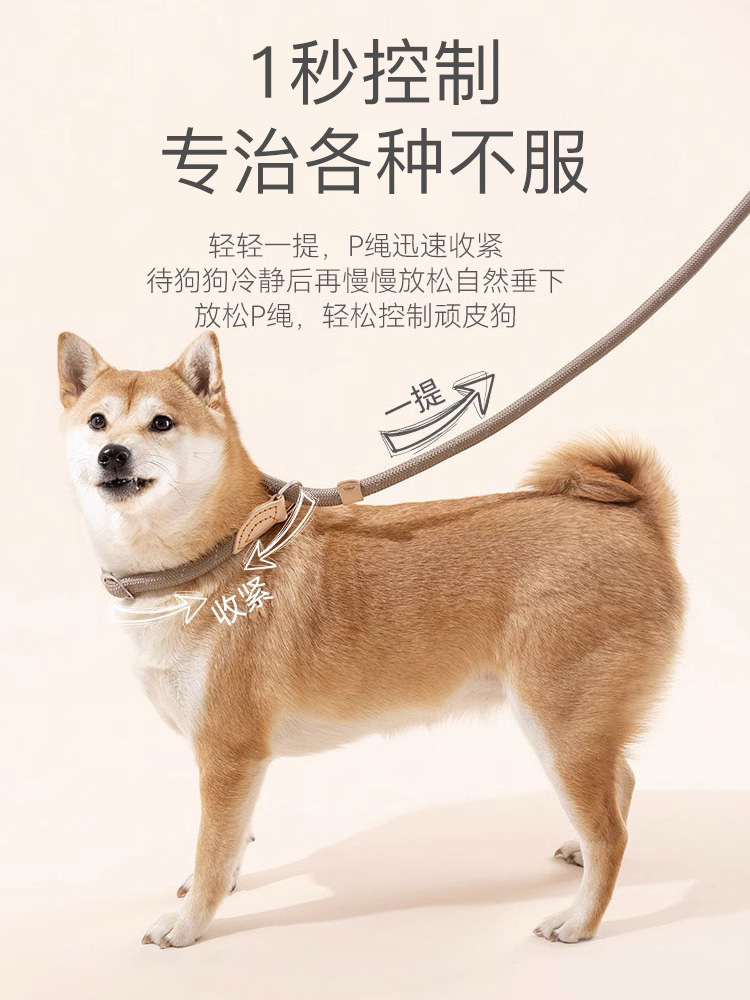 狗狗绳子防爆冲P链遛狗牵引绳防挣脱狗链子中大型犬防爆冲拴狗绳详情1