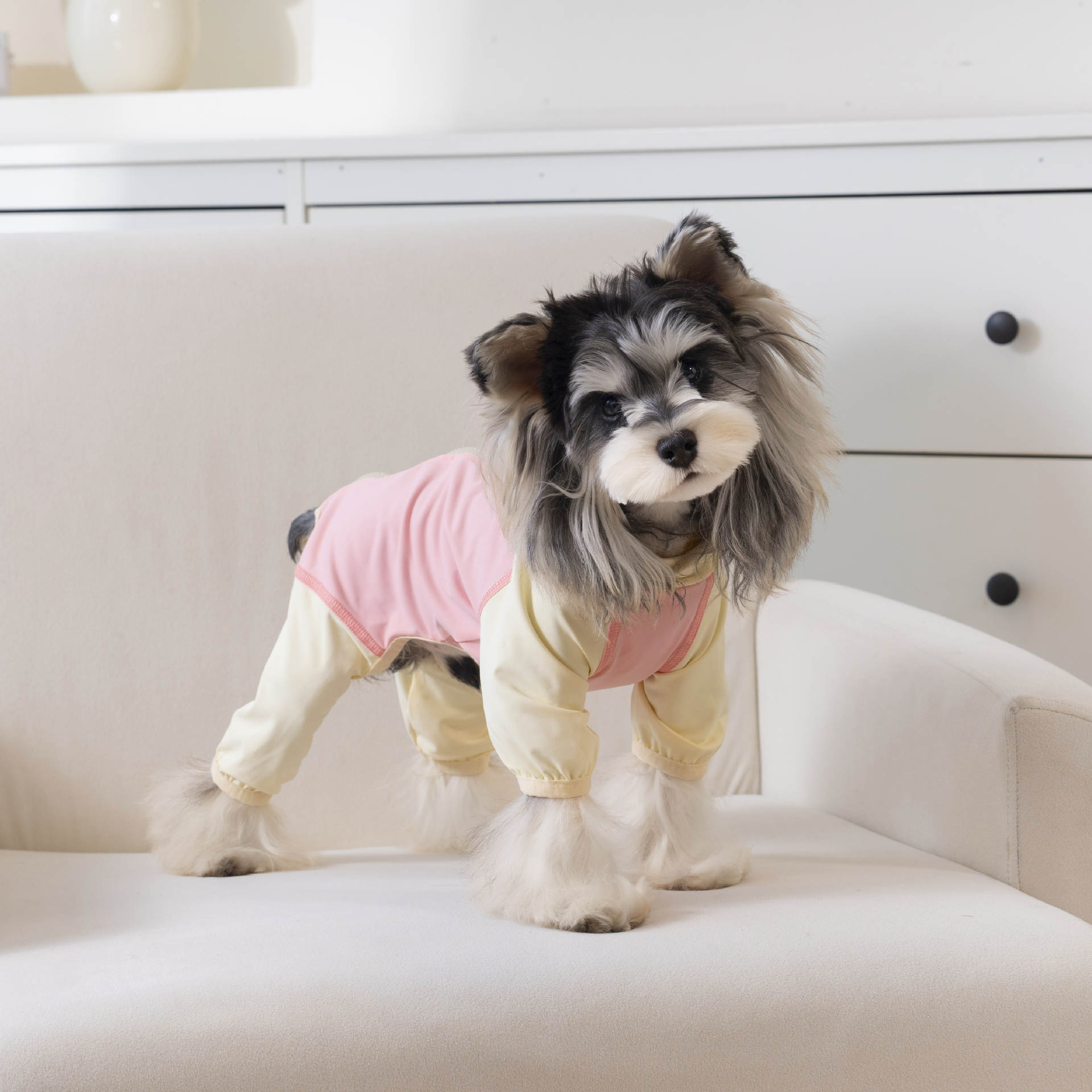 春夏新款小型犬四脚衣冰丝凉感服 泰迪比熊雪纳瑞宠物服装详情13