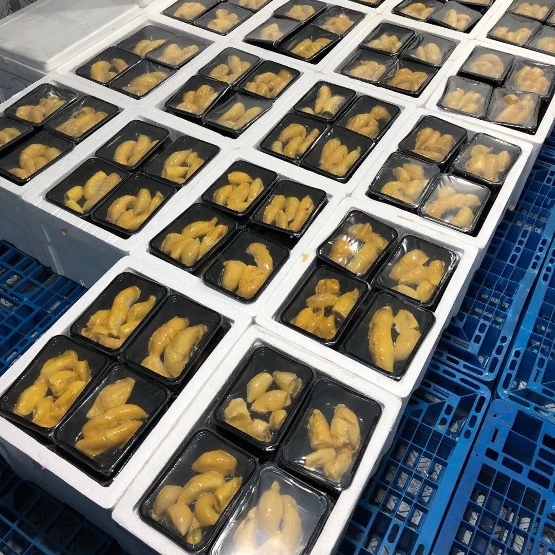 Premium Malaysian d197 Musang King durian pulp, original seasonal, 400g net weight, frozen and fresh-locked in box pic 4