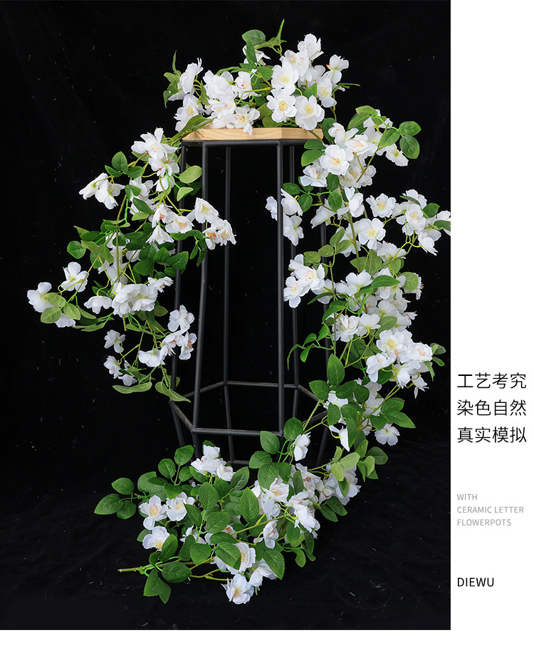 樱花_23.jpg