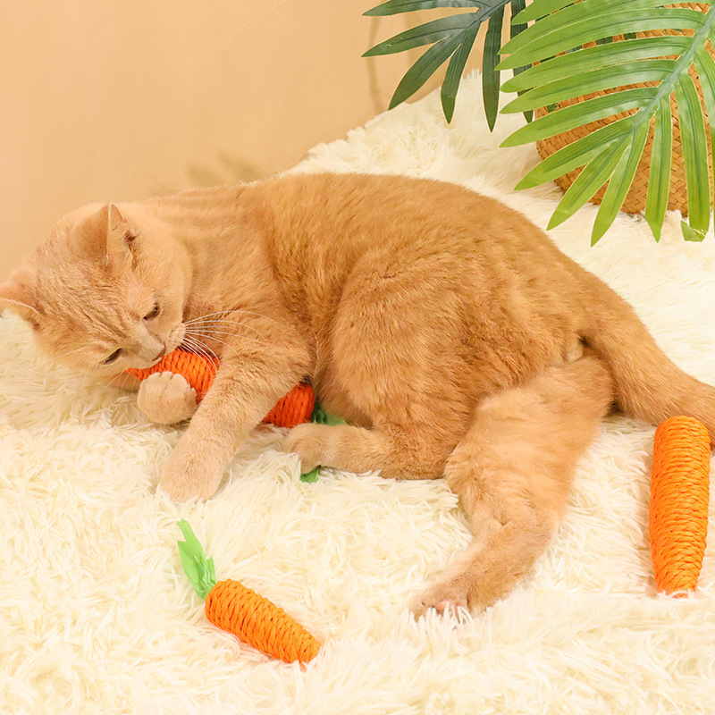 Cat carrot toys for self-entertainment and boredom, resistant to biting, grinding teeth and claws, chewing, playing with cat sticks, paper ropes, carrot toys pic 6