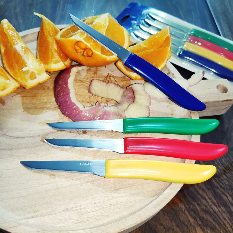 The manufacturer supplies small knives, fruit peel knives, portable fruit knives, travel fruit knives, PP handle knives, meat peelers and barbecue knives pic 1