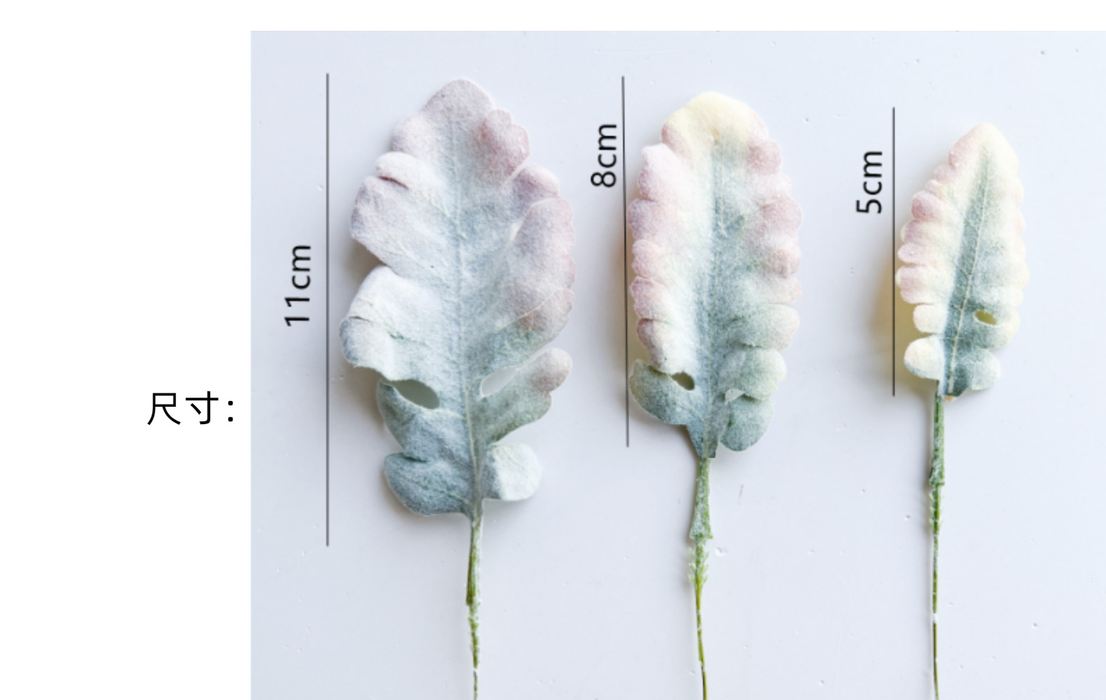 欧式银叶菊兔耳叶叶片配件情人节玫瑰假花餐桌家居绿植软装宠物园艺干花详情16