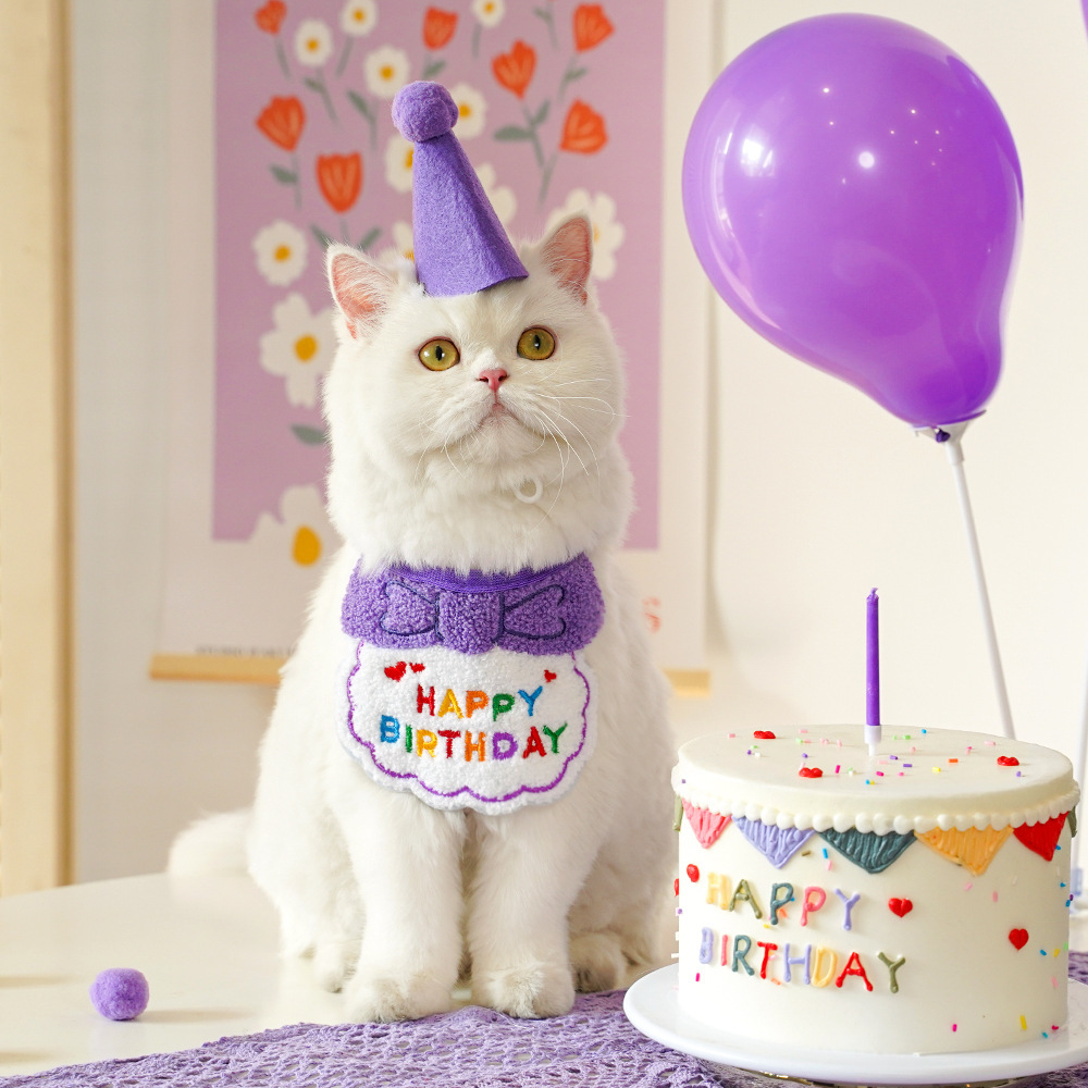 跨境宠物狗狗猫咪生日装扮围兜派对用品口水巾毛毡帽子厂家直销详情8