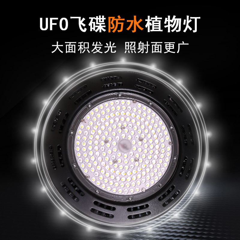 Succulent rose plant supplementary lighting lamp, sunlight-like full-spectrum green plant indoor orchid growth lamp, algae explosion lamp pic 9