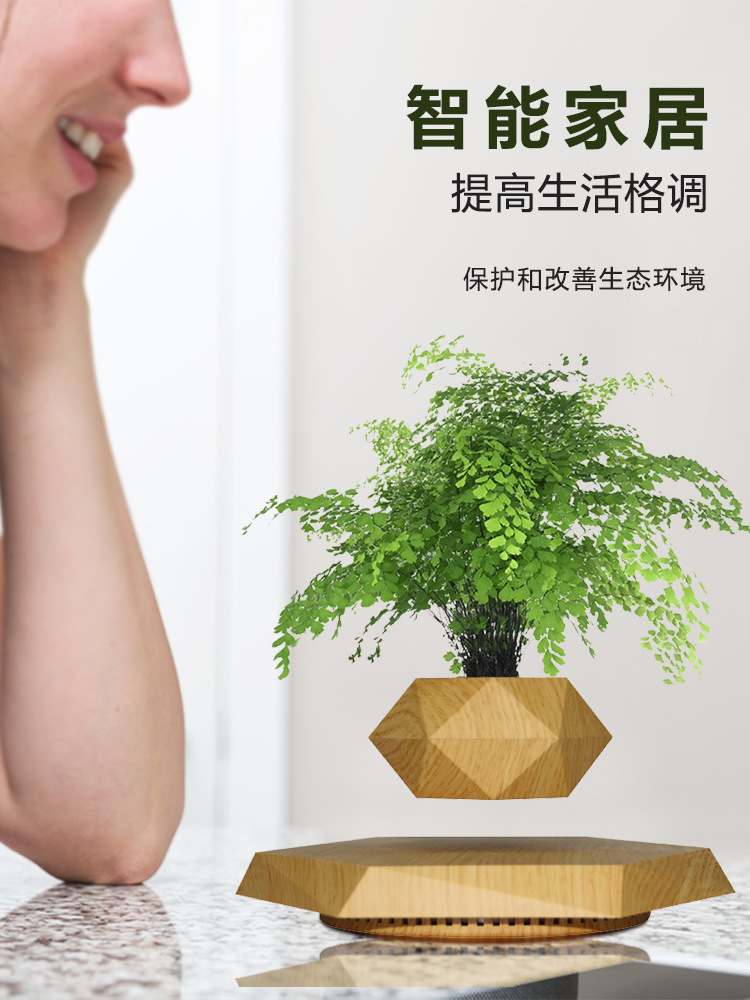 磁悬浮盆栽创意盆景工艺品礼品礼物新奇特家居摆件批发源头工厂详情5