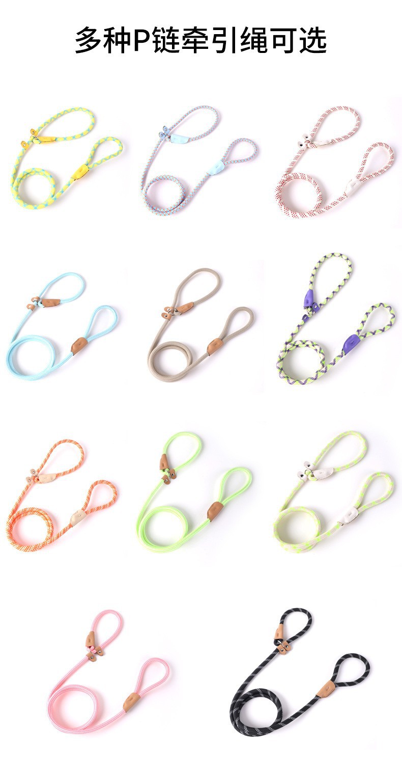 New cross-border pet leash for medium and large-sized dogs, universal safety dog chain, P-chain anti-loss dog walking leash pic 2