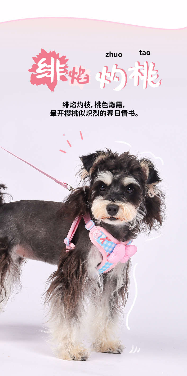 New dog leash, pet puppy chest strap, Bichon Shiba Inu, Schnauzer breathable outdoor dog leash pic 6